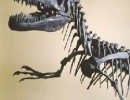 Museo di storia naturale di Milano