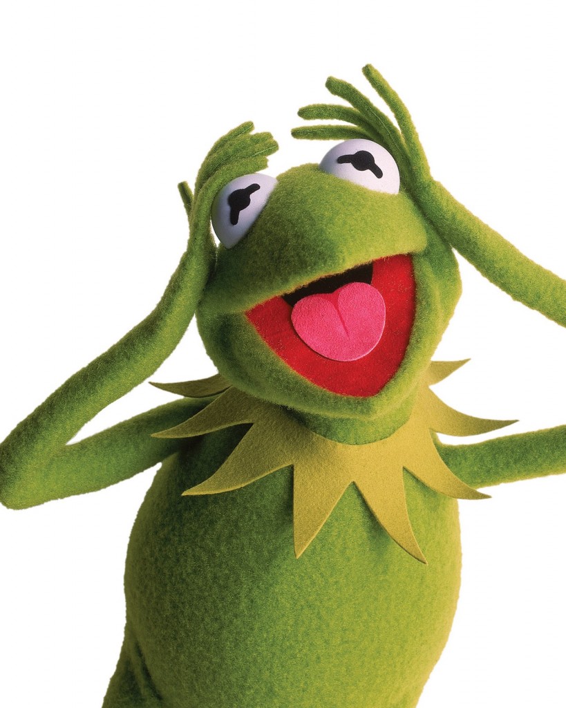 Costumi di Carnevale: Kermit la rana