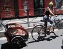 bicicletta con rimorchio