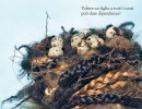 le difettose