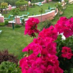 giardino giardino