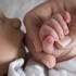 corredino neonato