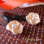 molletta-capelli-raso