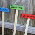 giardinaggio-garden-markers-legni_-colorati