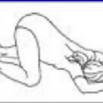 esercizi-per-feto-podalico