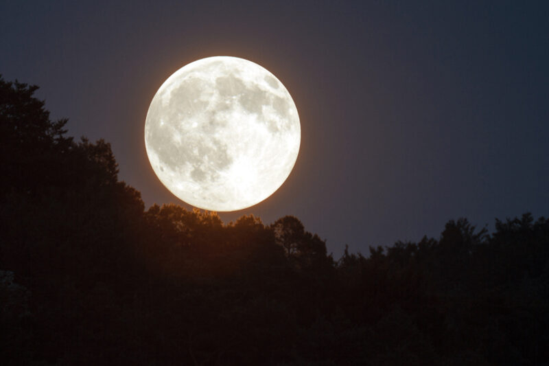 luna piena influenza concepimento