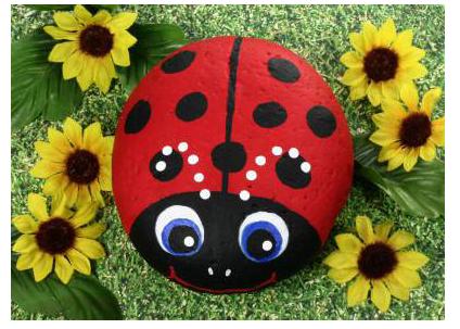 creare-sassi-coccinella