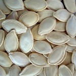 zucca-lavoretti-semi