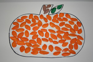 zucca-lavoretti-semi_1