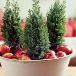 decorazioni-natale-albero-pini
