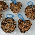 attivita-coi-bambini-cibo-uccelli-cuore