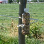 attivita-con-i-bambini-birdgardening-bottiglia