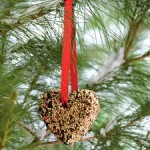 attivita-con-i-bambini-cibo-uccelli-natale