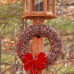 attivita-con-i-bambini-mangiatoia-uccelli