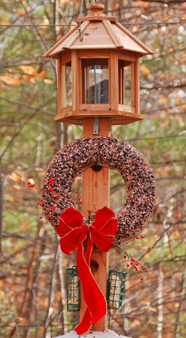 attivita-con-i-bambini-mangiatoia-uccelli