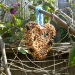 attivita-con-i-bambini-semi-uccelli-birdgardening
