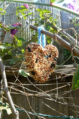 attivita-con-i-bambini-semi-uccelli-birdgardening