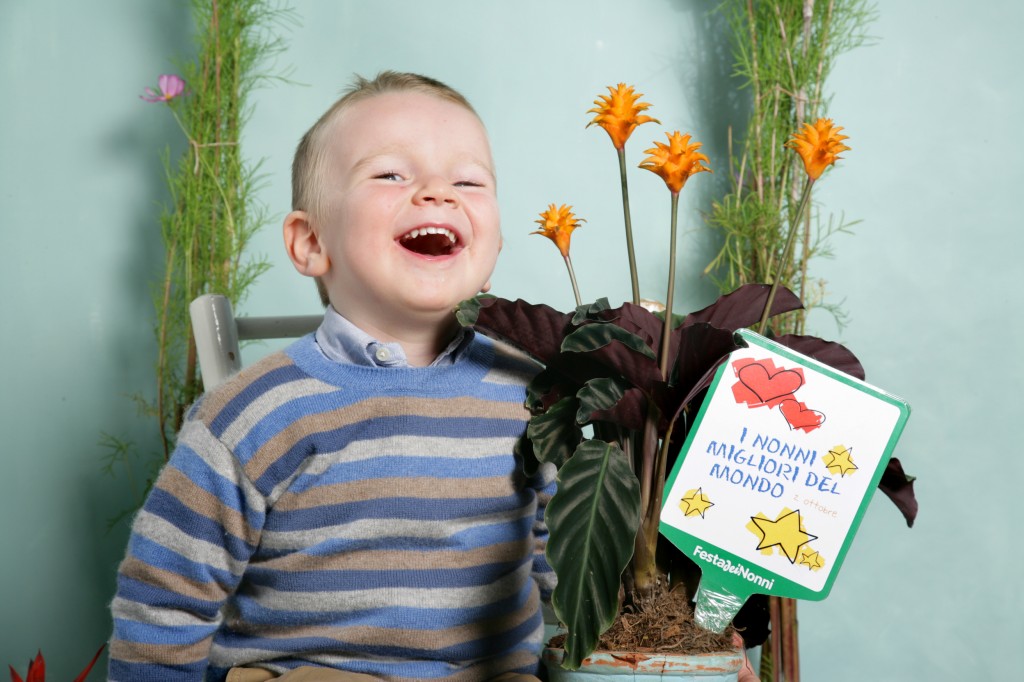 festa-nonni