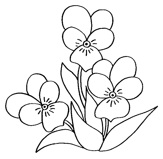 disegni nonni viola