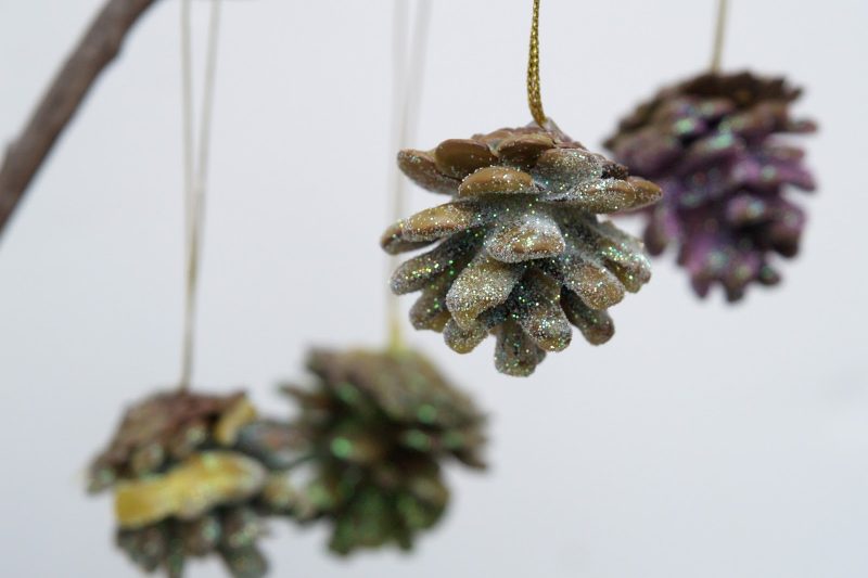 pigne da appendere all'albero di natale