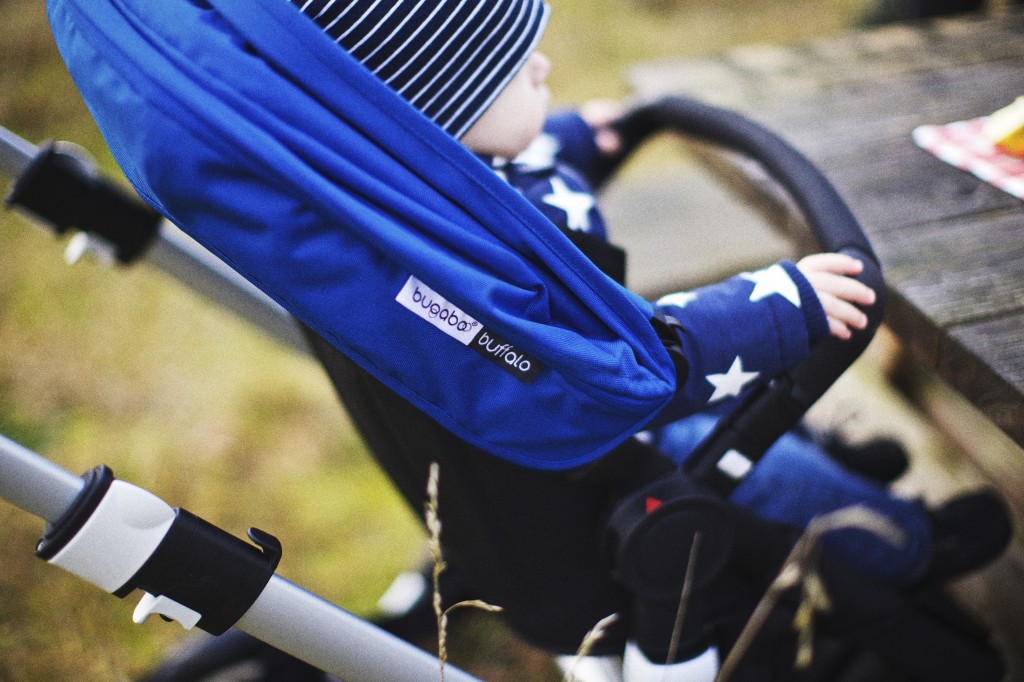 hq-bugaboo-buffalo-1