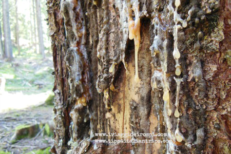 Vacanze con bambini tra la natura