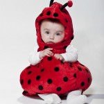costume di carnevale per bebè coccinella