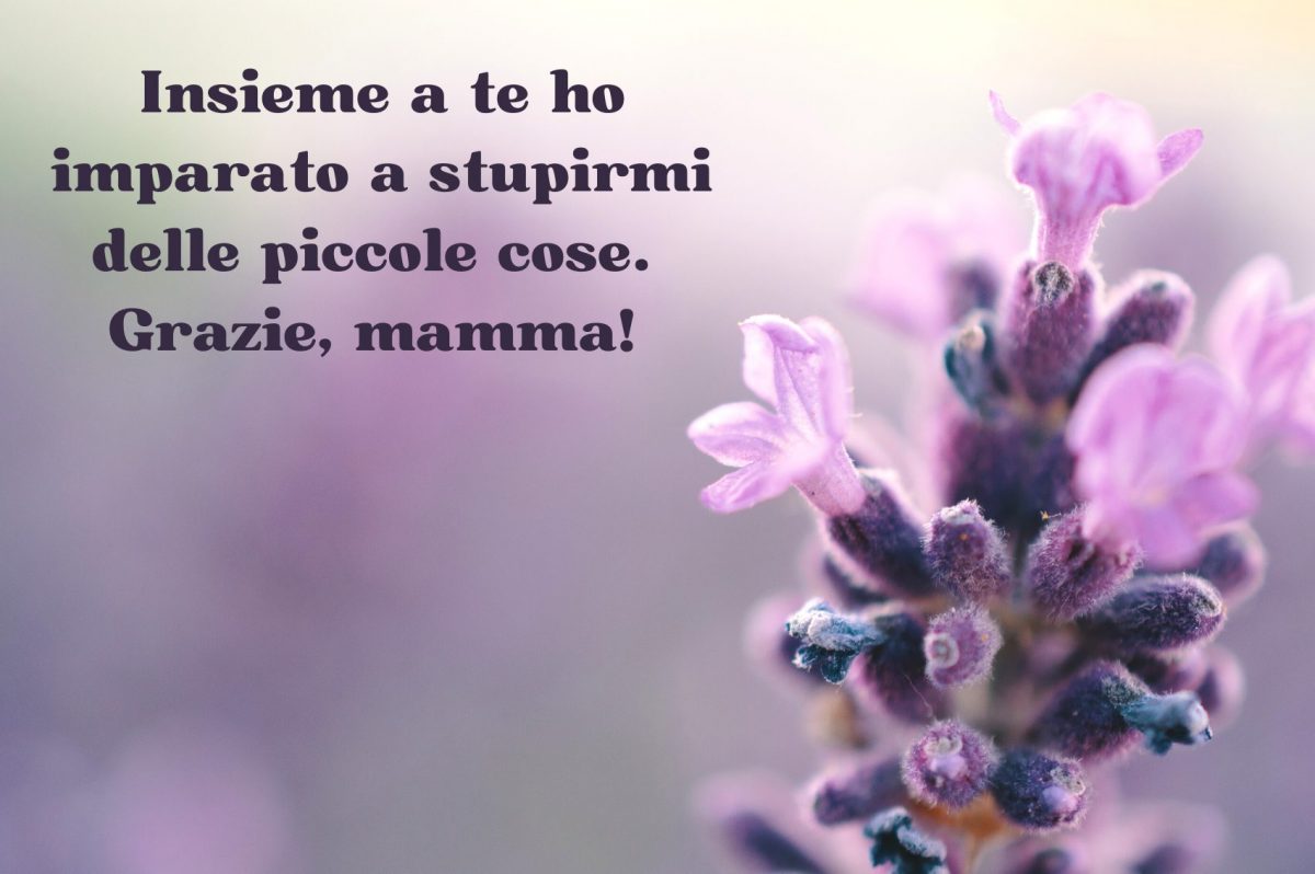 frasi festa della mamma