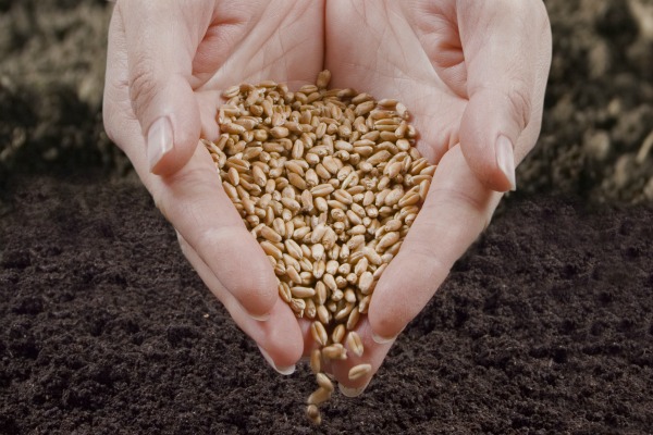 Dieta della fertilità