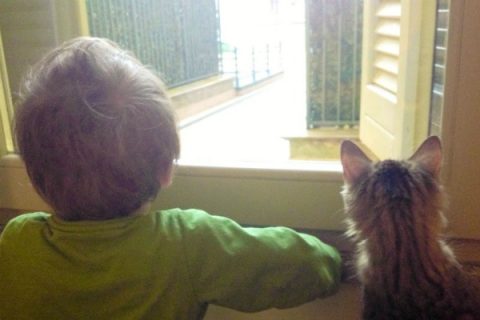 purina-petcare-quandofuoripiove-genitori-crescono