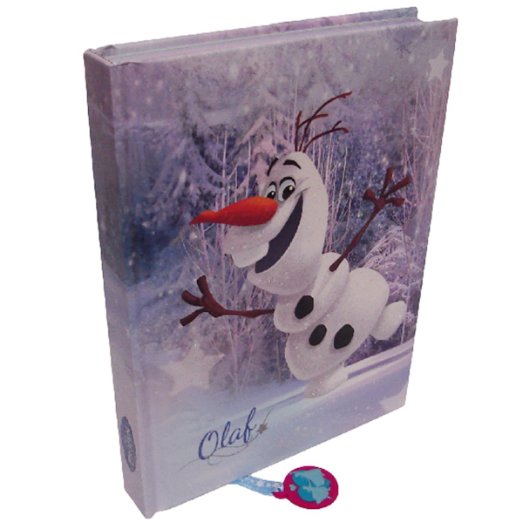 Accessori scuola di Frozen_Diario Frozen