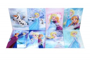 Accessori scuola di Frozen_set quadernoni
