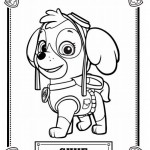 Disegni della Paw Patrol da stampare gratis_Skye