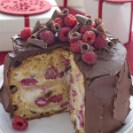 Panettoni decorati più belli del web_cioccolato e lamponi