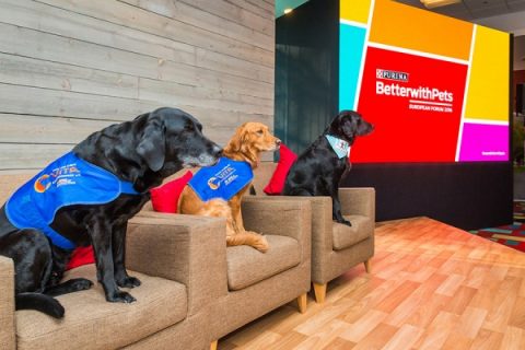 better with pets purina forum Bruxelles