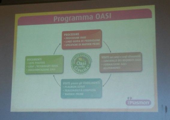 oasi aperte Plasmon