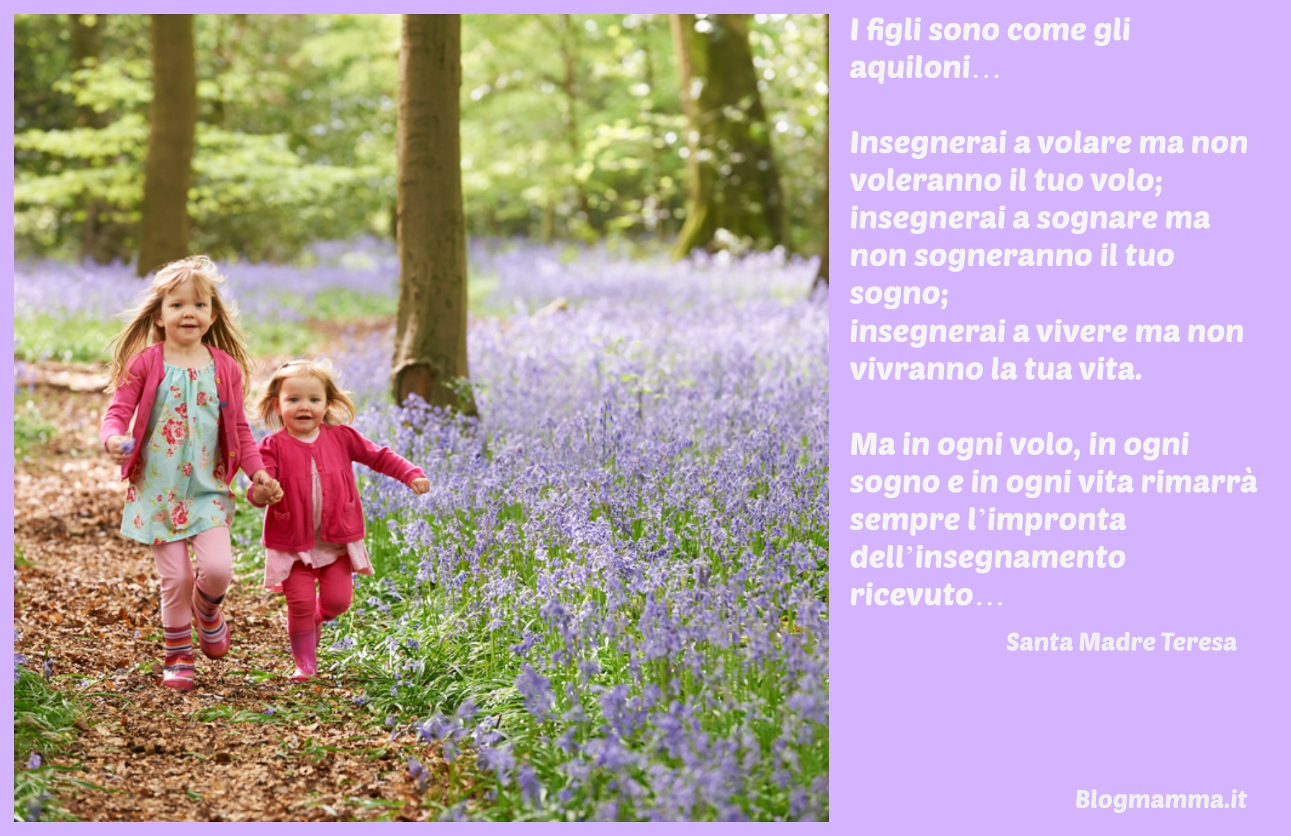Madre Teresa frasi poesie vita