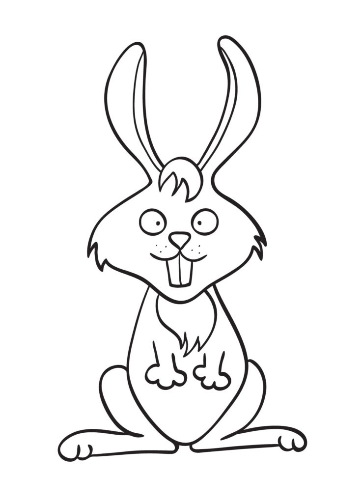 disegni di animali da stampare: coniglietto