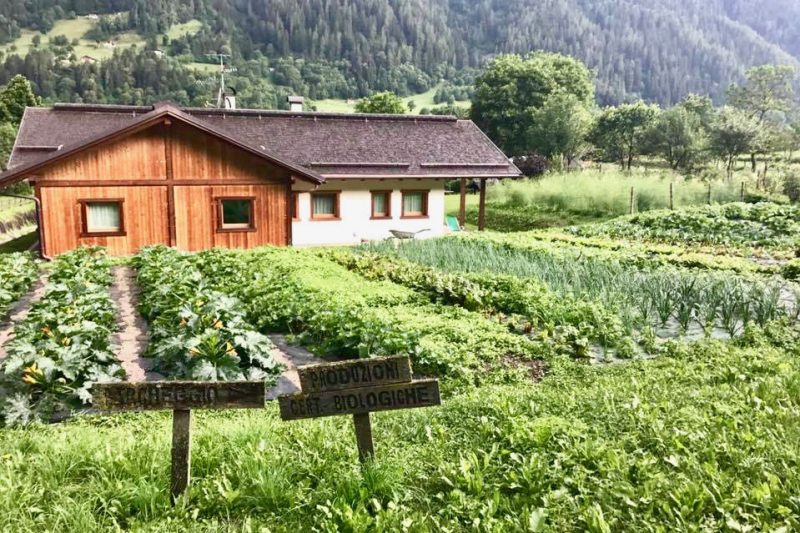 vacanza in Trentino con i bambini_ Agritur Casa al Campo_cop