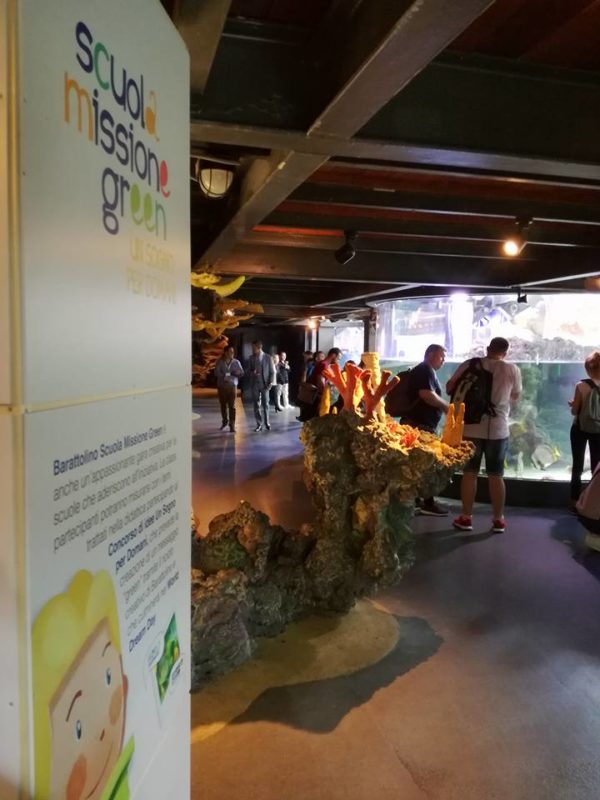 il progetto barattolino scuola missione green