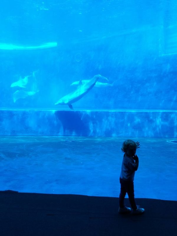 il progetto barattolino scuola missione green