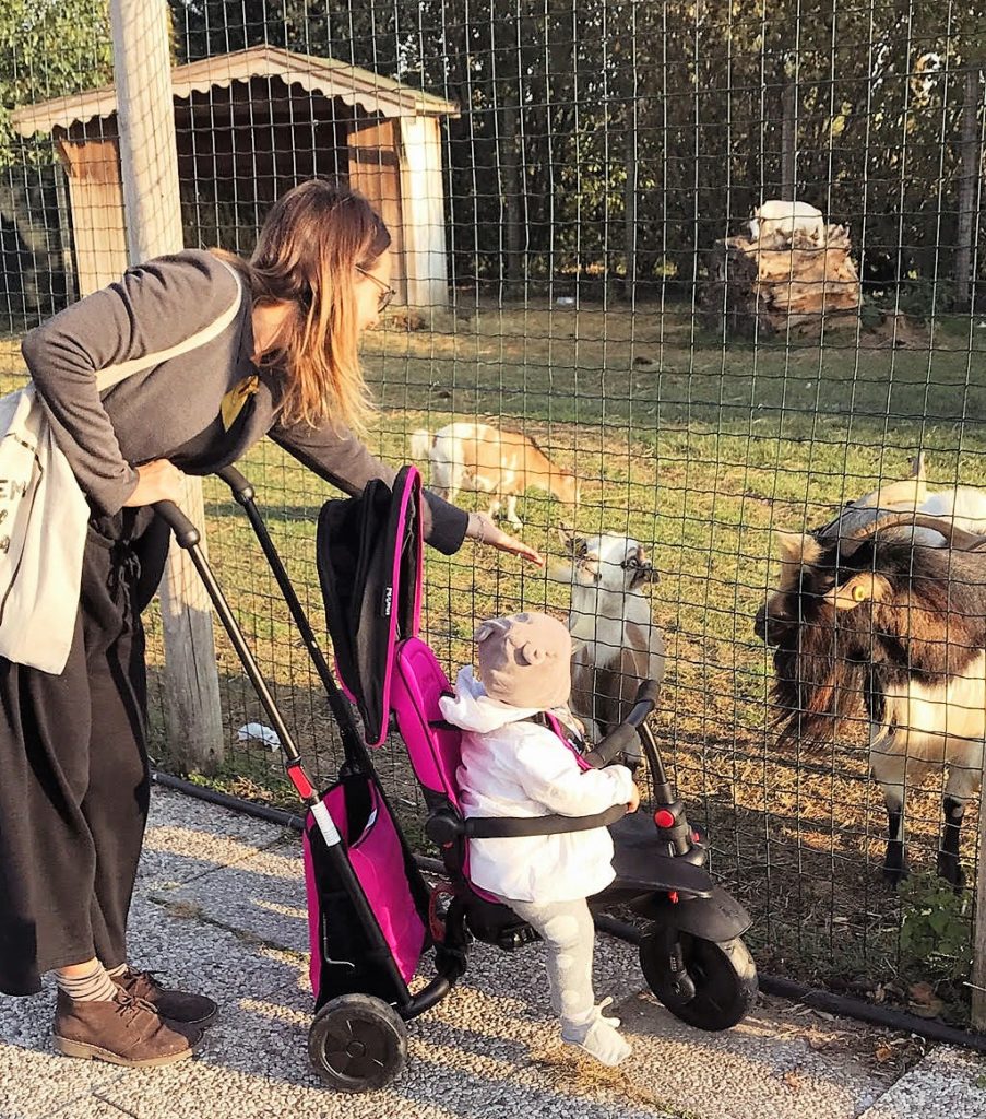 smartfold triciclo passeggino