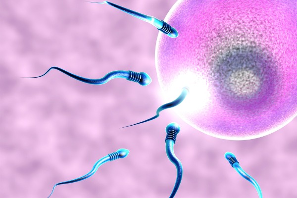 perdite di sangue