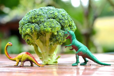 Vitamine_sali_minerali_crescita_bambino