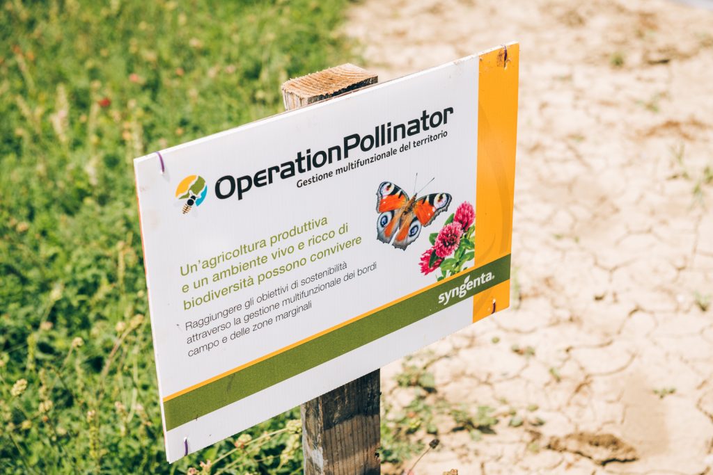 orogel alla scoperta dei surgelati