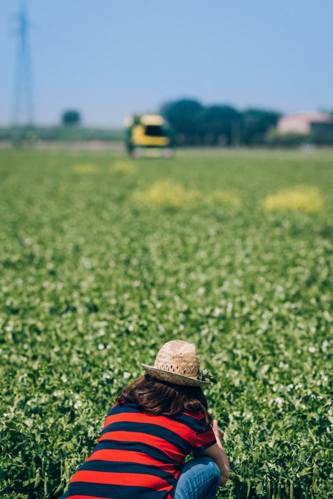 orogel alla scoperta dei surgelati