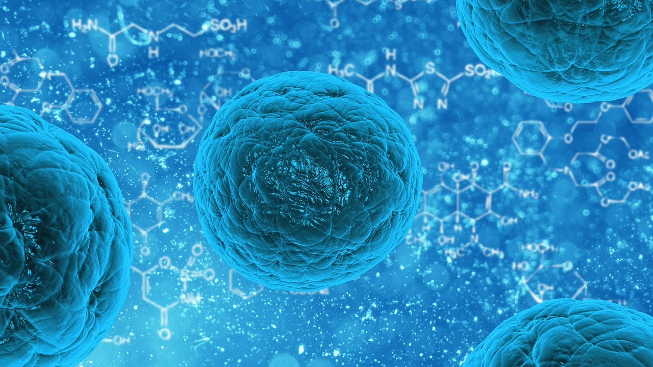 Legionella