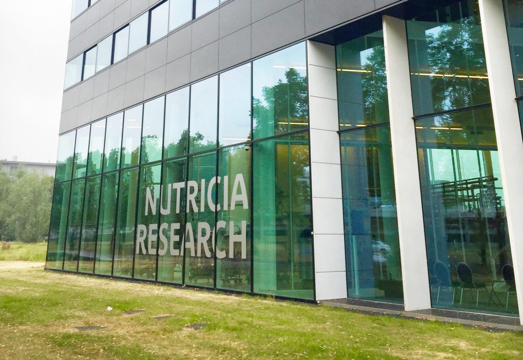 nutricia research latte materno