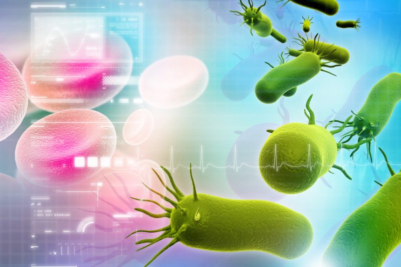 Mycobacterium chimaera