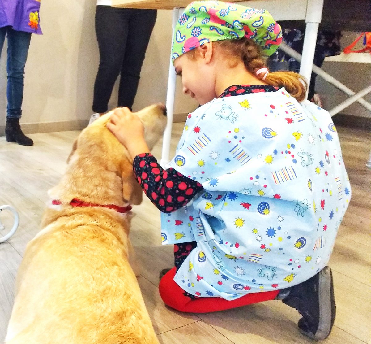 diabete nei cani e nei gatti _ bambina che accarezza cane